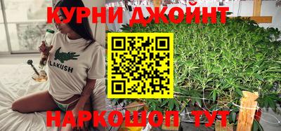 шишки Будённовск