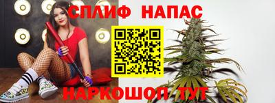 шишки Будённовск