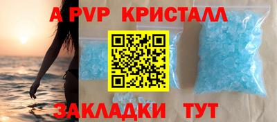 шишки Будённовск