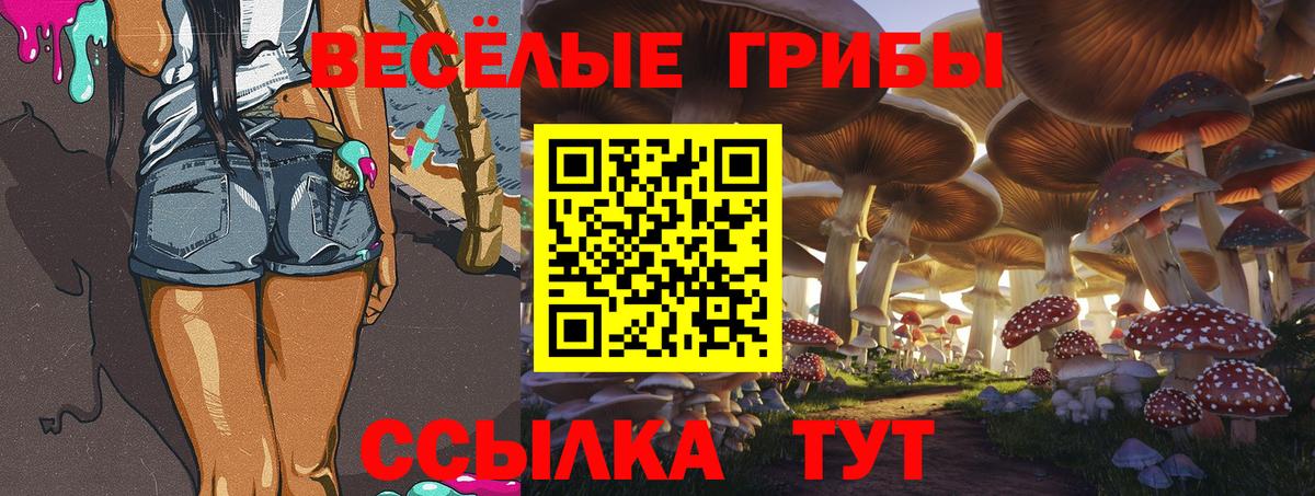 Псилоцибиновые грибы мицелий Хасавюрт